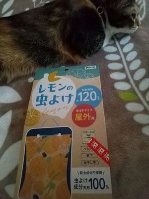 毎年の虫よけ