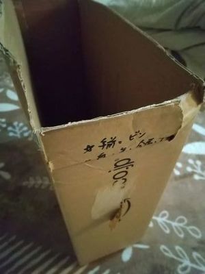 捨て活
