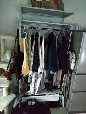 洋服の整理
