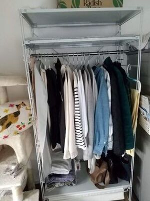 洋服の整理