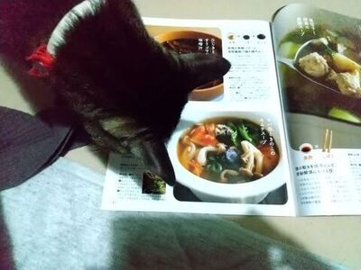 興味津々のゆうちゃん