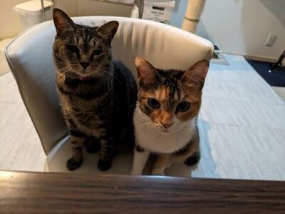 ふたりでパチリ
