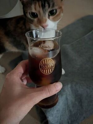 コールドブリューは水出し
