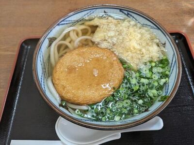 丸天うどん
