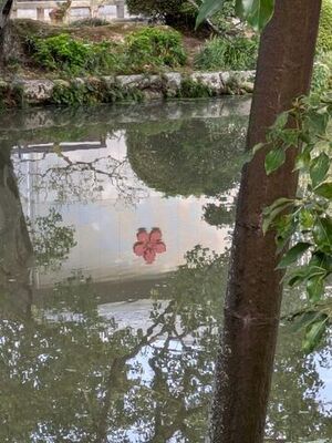 大宰府天満宮