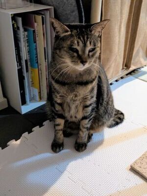 病院後のゆうちゃん